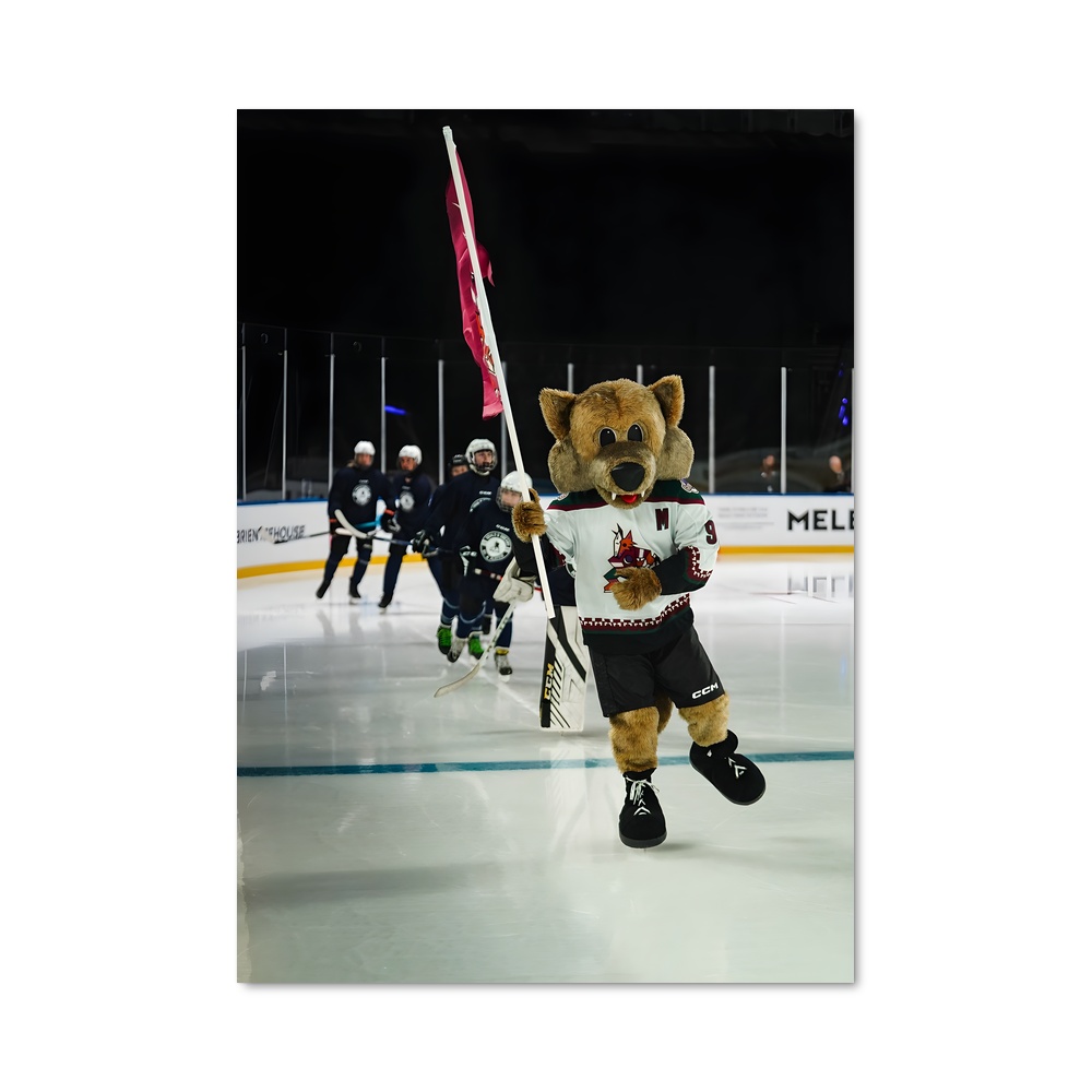 Poster Teddy Powerplay